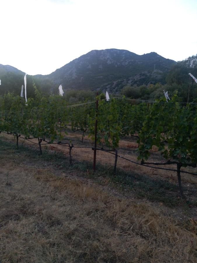 Отели типа «постель и завтрак» Andjela Apartments Вирпазар-22