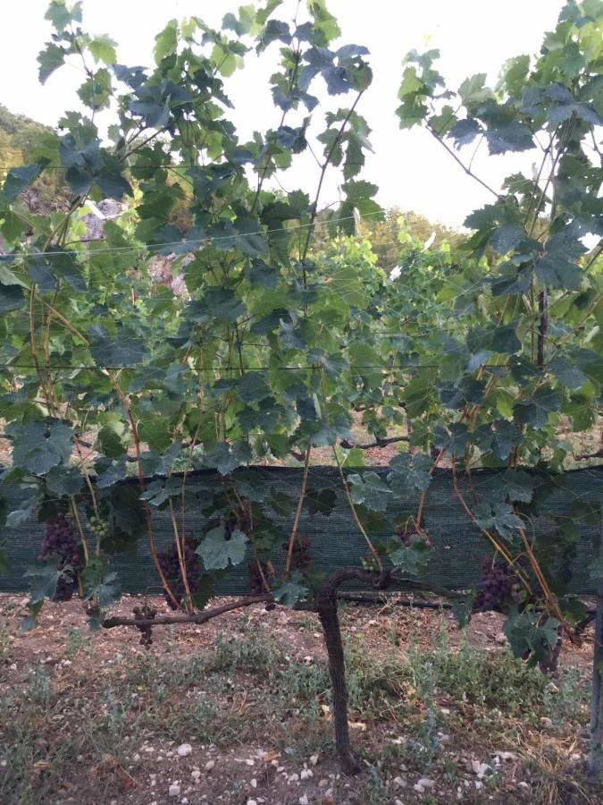 Отели типа «постель и завтрак» Andjela Apartments Вирпазар-25