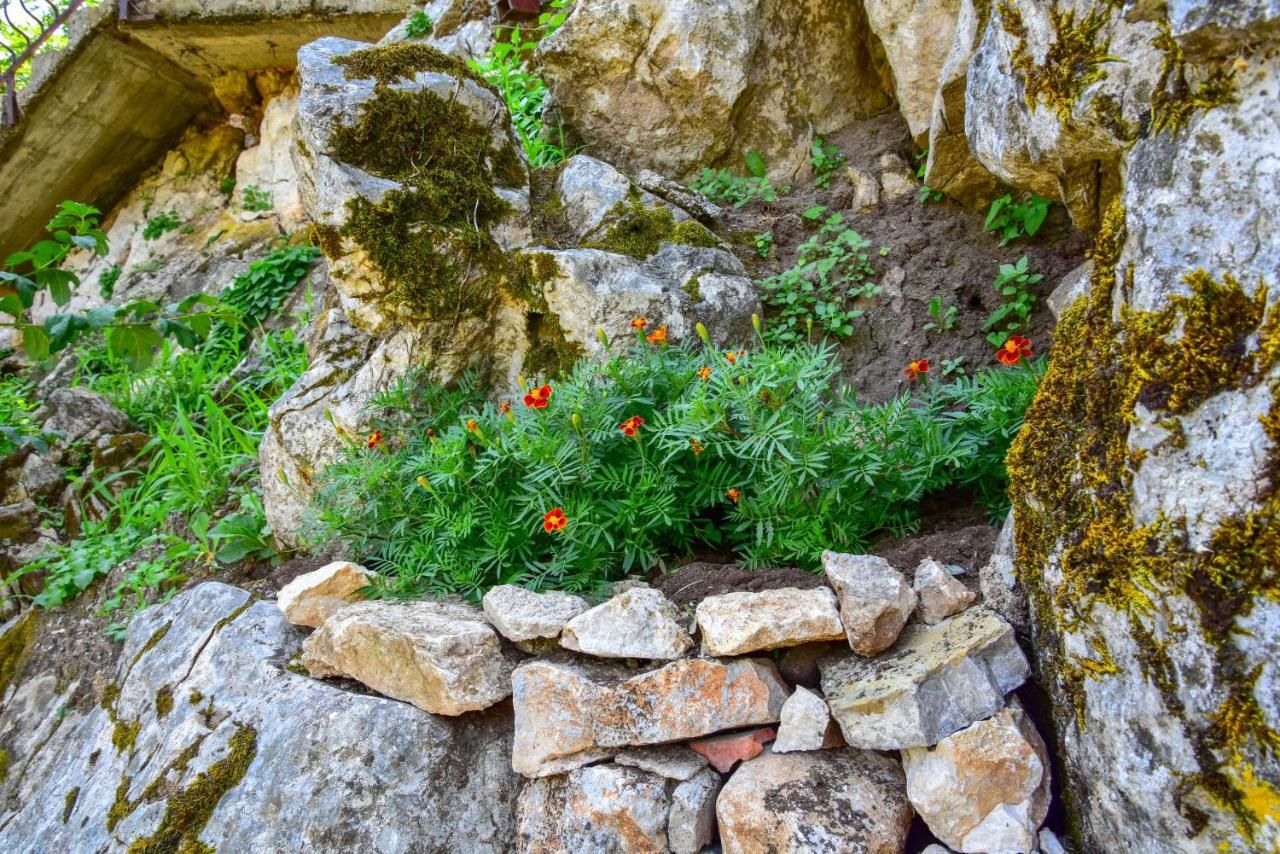 Отели типа «постель и завтрак» Andjela Apartments Вирпазар-39