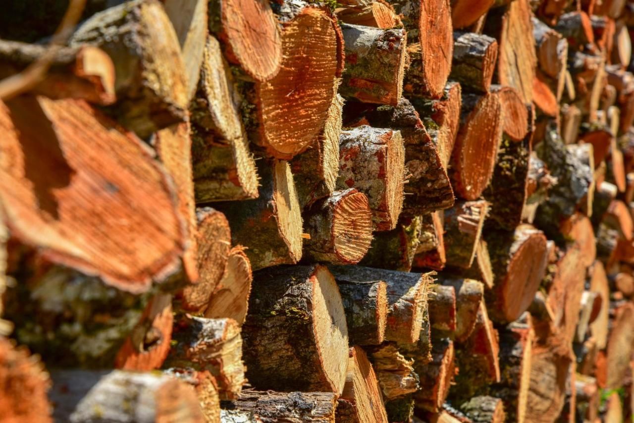 Отели типа «постель и завтрак» Andjela Apartments Вирпазар-40