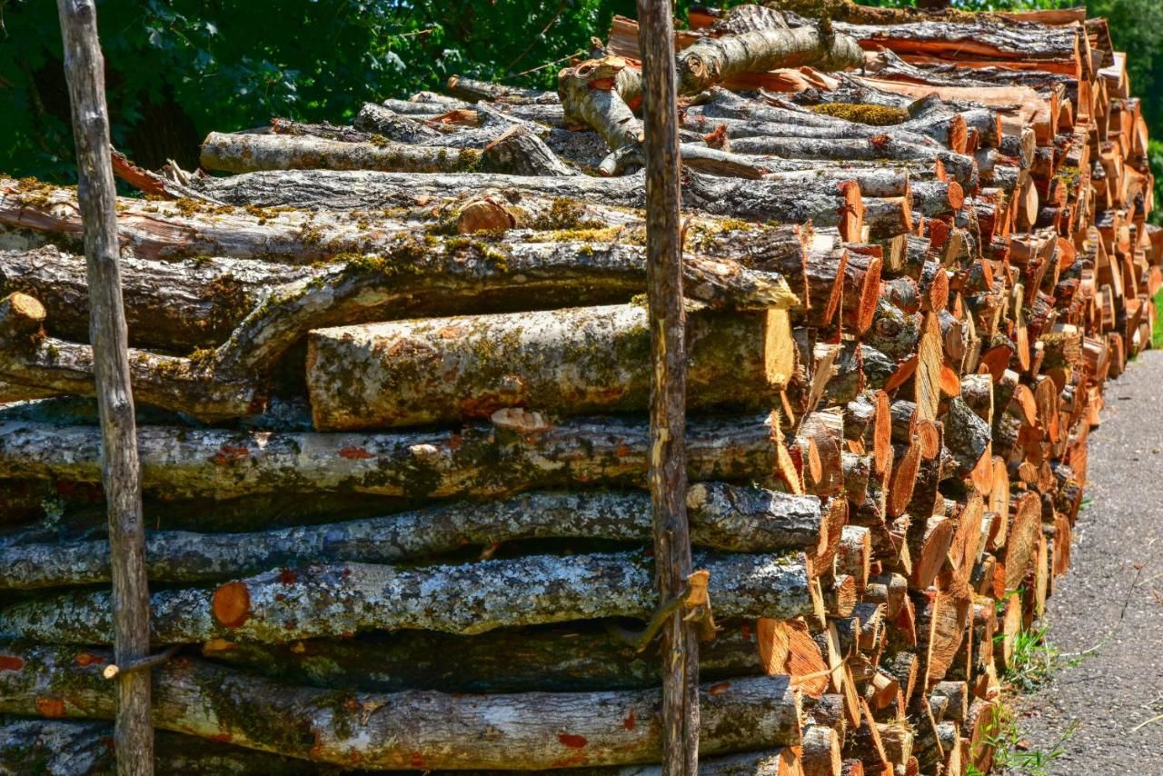 Отели типа «постель и завтрак» Andjela Apartments Вирпазар-41