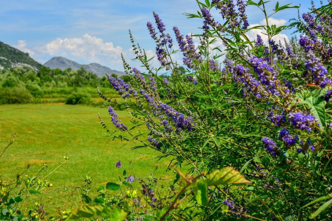 Отели типа «постель и завтрак» Andjela Apartments Вирпазар-42