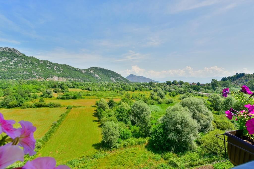 Отели типа «постель и завтрак» Andjela Apartments Вирпазар
