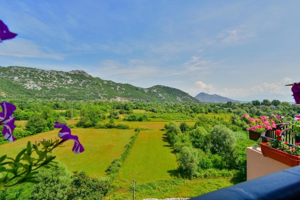 Отели типа «постель и завтрак» Andjela Apartments Вирпазар-63