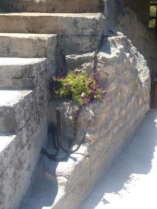 Отели типа «постель и завтрак» Andjela Apartments Вирпазар-6